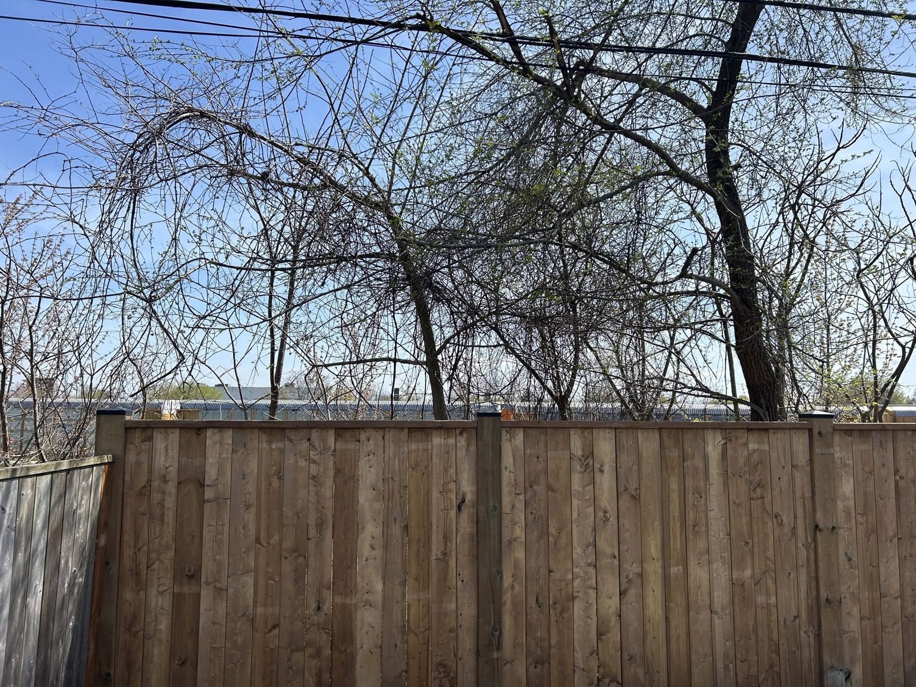 Fence Re-Build — photo 1