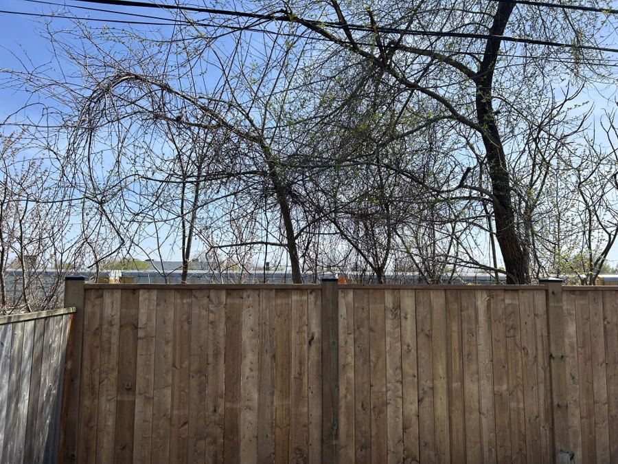 Fence Re-Build — photo 1