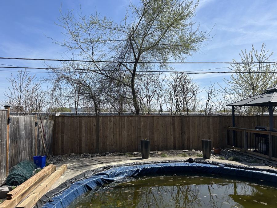 Fence Re-Build — photo 2